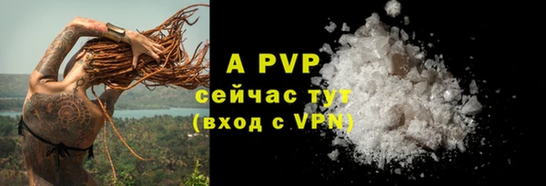 индика Весьегонск