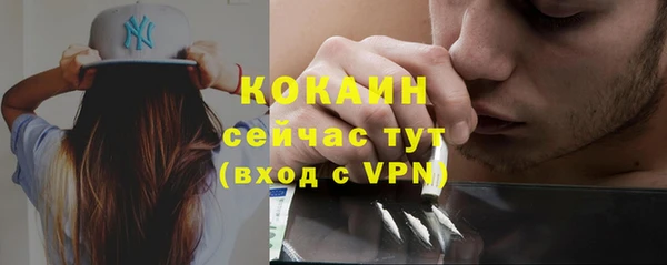 mdpv Богородицк