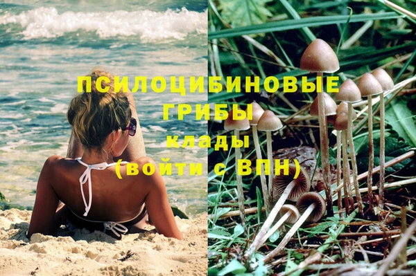 спиды Арсеньев