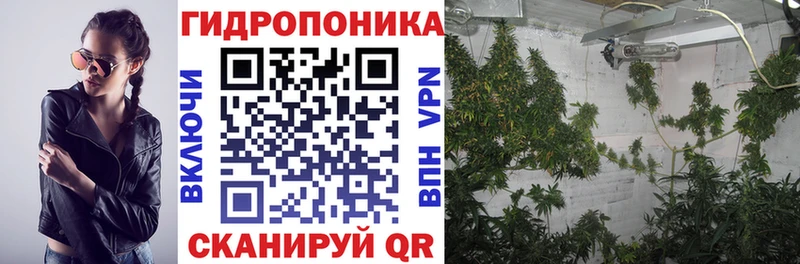 дарнет шоп  Голицыно  omg ссылка  Бошки Шишки планчик 